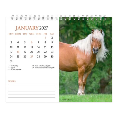 2027 BrownTrout Horse Lovers 7.5" x 6" Monthly Wall Calendar, Assorted Colors (9798330709397)