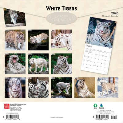 2026 BrownTrout White Tigers 12 x 12 Monthly Wall Calendar (9798330706341)
