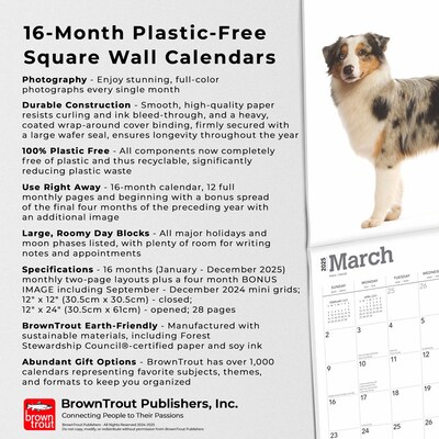 2025 BrownTrout Australian Shepherds 12" x 12" Monthly Wall Calendar (9781975476557)