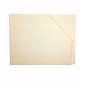 Medical Arts Press Reinforced File Pocket, Letter Size, Manila, 100/Box (23939R)
