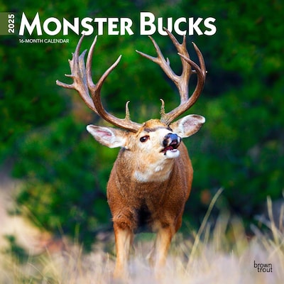2025 BrownTrout Monster Bucks 12 x 24 Monthly Square Wall Calendar (9781975477448)