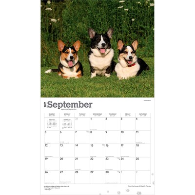 2027 BrownTrout For the Love of Welsh Corgis 14" x 12" Monthly Wall Calendar, Assorted Colors (9798330714698)