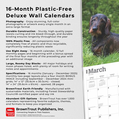 2025 BrownTrout For the Love of Dachshunds 7" x 12" Monthly Deluxe Wall Calendar (9781975473020)