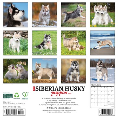 2025 Willow Creek Just Siberian Husky Puppies 12 x 12 Monthly Wall Calendar (44902)