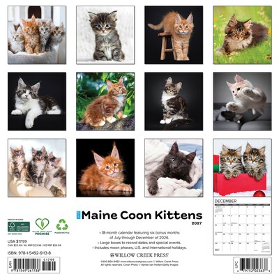 2027 Willow Creek Maine Coon Kittens 12 x 12 Monthly Wall Calendar, Assorted Colors (61138)