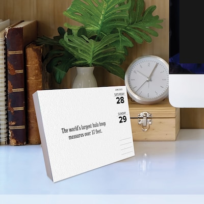 2025 Willow Creek Today I Learned - Facts and Daily Trivia 6" x 5.5" Day-to-Day Calendar (41055)