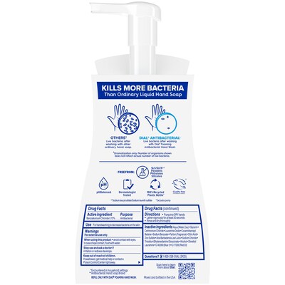 Dial Antibacterial Foaming Hand Soap, Spring Water Scent, 8/Carton (017000347394)
