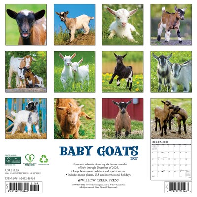 2027 Willow Creek Baby Goats 12 x 12 Monthly Wall Calendar, Assorted Colors (58961)