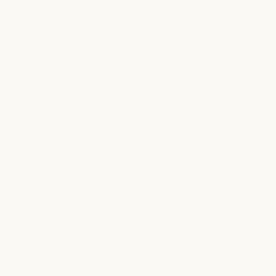 Apple Barrel Acrylic Paint Matte, 32oz., White, 2/Pack (APP21170E-2)