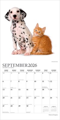 2026 Plato Kittens & Puppies 12" x 12" Monthly Wall Calendar (9798330706815)