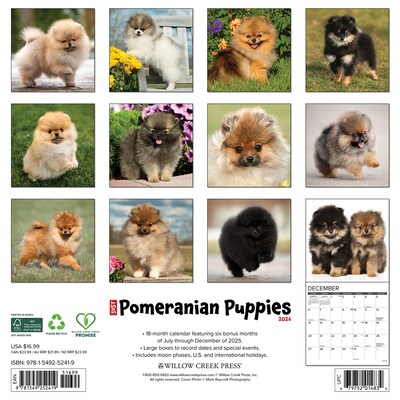 2026 Willow Creek Pomeranian Puppies 12 x 12 Monthly Wall Calendar (52419)