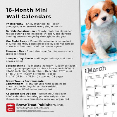2026 BrownTrout Cavalier King Charles Spaniel Puppies 7" x 7" Monthly Wall Calendar (9798330702800)