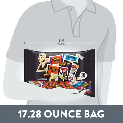 Hershey's Snack Size Assorted Flavored Chocolate Variety Bag, 17.28 oz., 30 Pieces (HEC45891)