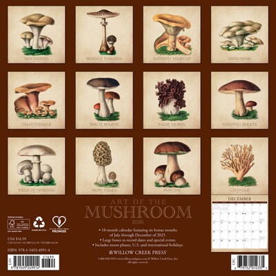 2026 Willow Creek Art of the Mushroom 12 x 12 Monthly Wall Calendar (49914)