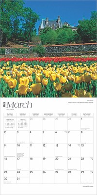 2025 BrownTrout Tar Heel State North Carolina Places 12" x 12" Monthly Square Wall Calendar (9781975483043)