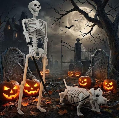 Human & Dog Skeleton Décor