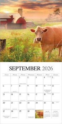 2026 BrownTrout Beckoning Barns 12" x 12" Monthly Wall Calendar (9781773728667)
