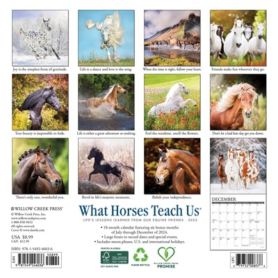 2025 Willow Creek What Horses Teach Us 7 x 7 Monthly Wall Calendar (46036)