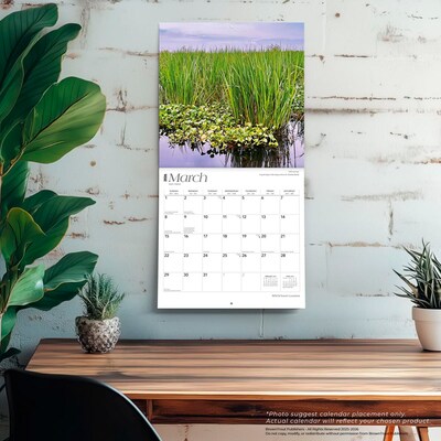 2026 BrownTrout Louisiana Wild & Scenic 12" x 12" Monthly Wall Calendar (9798330704408)