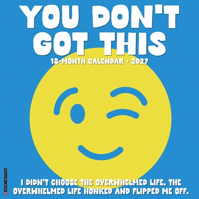 2027 Willow Creek You Dont Got This 12 x 12 Monthly Wall Calendar, Assorted Colors (63125)