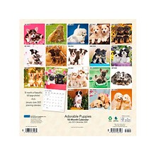 2023-2024 Plato Adorable Puppies 12 x 12 Academic & Calendar Monthly Wall Calendar (9781975467203)