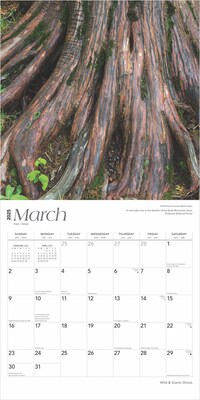 2025 BrownTrout Illinois Wild & Scenic 12" x 12" Monthly Wall Calendar (9781975474935)