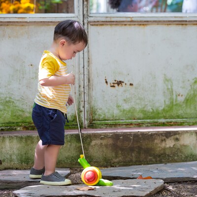 Plan Toys Wooden Pull Along Toy Snail, Green (PTS5108)