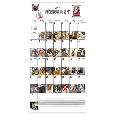 2027 TF Publishing Dog-A-Day 11" x 12" Monthly Wall Calendar (27-1009)