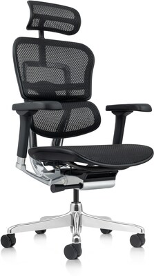 Eurotech Ergohuman Gen2 High-Back Mesh Office Chair w/ Headrest, Black (ME7ERG-GEN2-BLK)