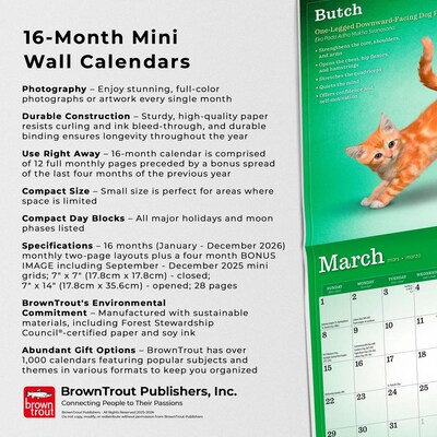 2026 BrownTrout Yoga Kittens 7" x 7" Monthly Wall Calendar (9798330701940)