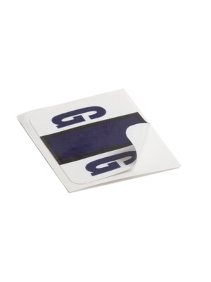 Smead BCCR Labels File Folder Label, G, Violet, 500 Labels/Pack (67077)