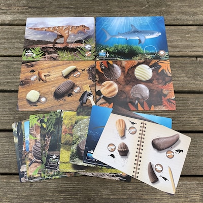 Yellow Door Prehistoric Teeth Explore and Discover Activity Cards, 16/Set (YUS1203)