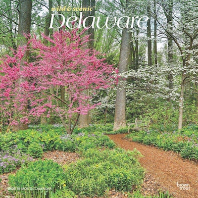2025 BrownTrout Delaware Wild & Scenic 12 x 12 Monthly  Wall Calendar (9781975474775)