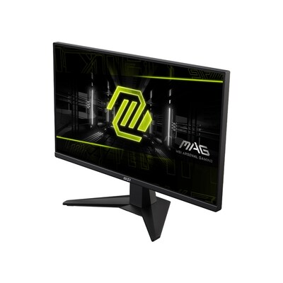 MSI MAG Series 24.5" FHD 200Hz LED Adaptive-Sync Gaming Monitor, HDR10, Metallic Black (MAG255FE20)