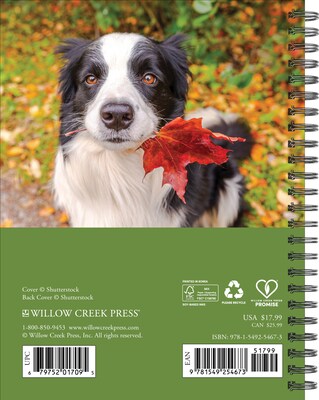 2026 Willow Creek What Dogs Teach Us 6.5 x 8.5 Daily & Monthly Personal Organizer (54673)