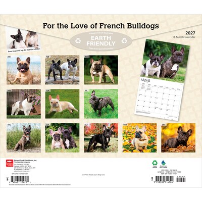 2027 BrownTrout For the Love of French Bulldogs 14 x 12 Monthly Wall Calendar, Assorted Colors (9798330714704)