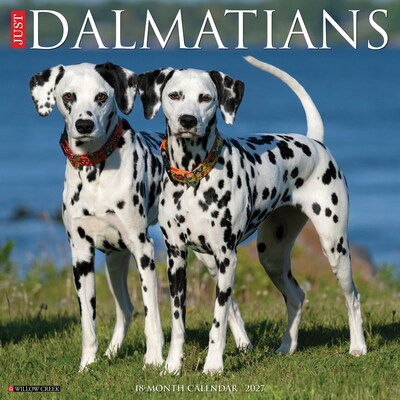 2027 Willow Creek Dalmatians  12 x 12 Monthly Wall Calendar (59975)