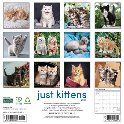 2027 Willow Creek Kittens 12 x 12 Monthly Wall Calendar, Assorted Colors (60933)