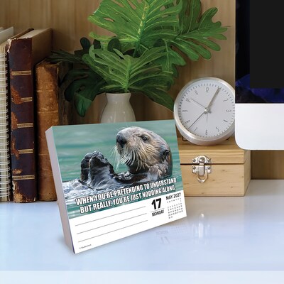 2027 Willow Creek Animal Antics 6.2" x 5.4" Daily Day-to-Day Calendar, Assorted Colors (63224)