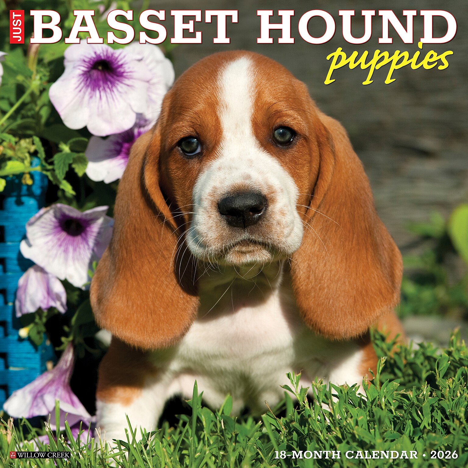 2026 Willow Creek Basset Hound Puppies 12 x 12 Monthly Wall Calendar (50088)