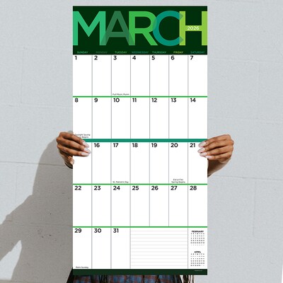 2026 TF Publishing Big Print 12" x 12" Monthly Wall Calendar (26-1104)