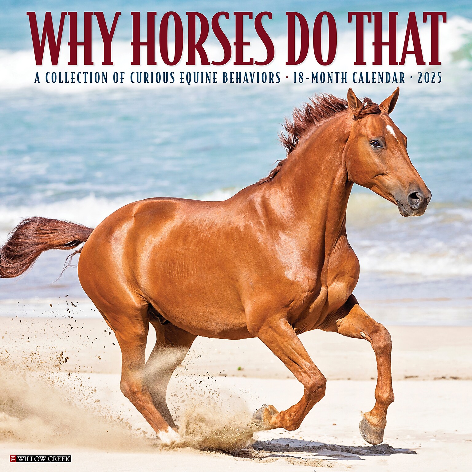 2025 Willow Creek Why Horses Do That 12 x 12 Monthly Wall Calendar (45442)