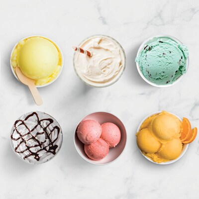 Ninja CREAMi Deluxe 11-in-1 Ice Cream and Frozen Treat Maker (NC501)