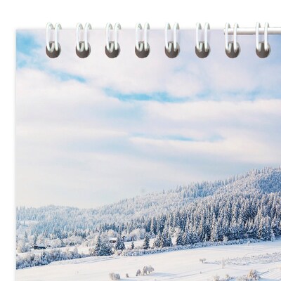 2026 AT-A-GLANCE Scenic 12" x 27" Three-Month Wall Calendar (DMW503-28-26)