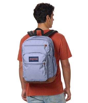 JanSport Cool Student Laptop Backpack, Large, Lavender Ash (JS0A2SDDLA6)
