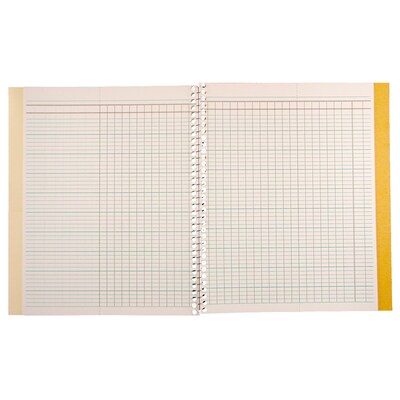 Roaring Spring Paper Products Teacher's Record Roll Books, 8.5" x 11", 44 Sheets (72900)