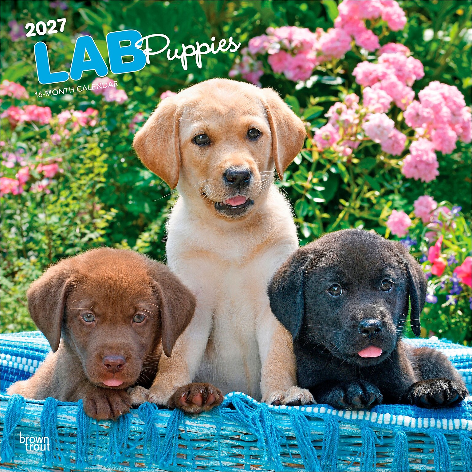 2027 BrownTrout Labrador Retriever Puppies 12 x 12 Monthly Wall Calendar (9798330712519)