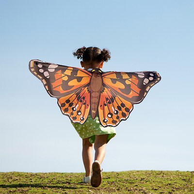 Insect Lore Dress-Up Painted Lady Butterfly Wings, Multicolored (ILP4800)