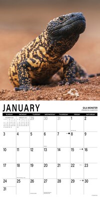 2027 Willow Creek Scales 12" x 12" Monthly Wall Calendar (62159)