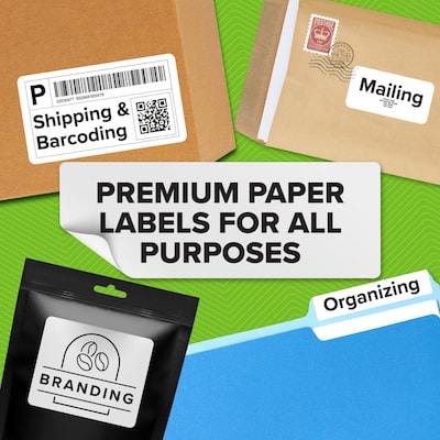 DYMO LabelWriter Large Shipping Labels, 57mm x 104mm, White, 250 Labels/Roll, 6 Rolls/Box (2229753)